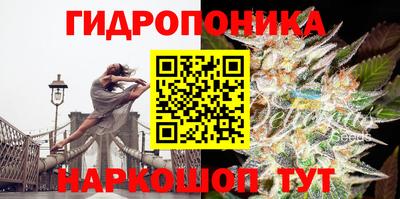 винт Ачхой-Мартан
