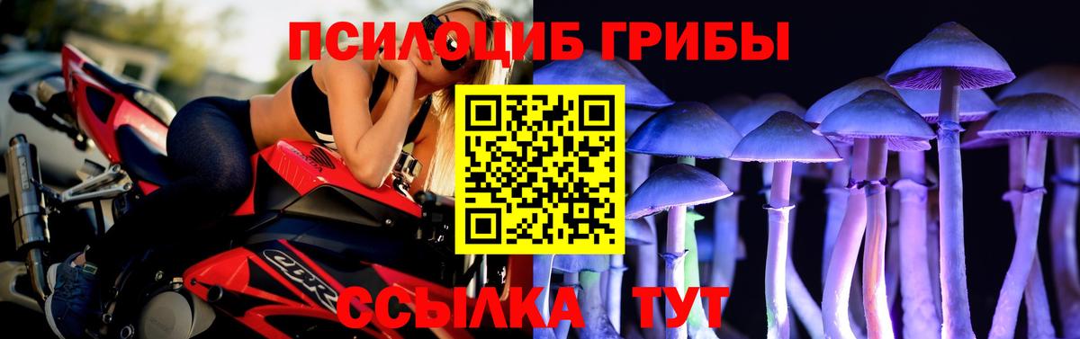 Галлюциногенные грибы мицелий Ахтубинск